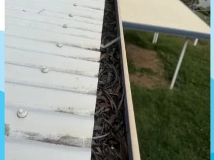 Gutter clean, Gladstone, before